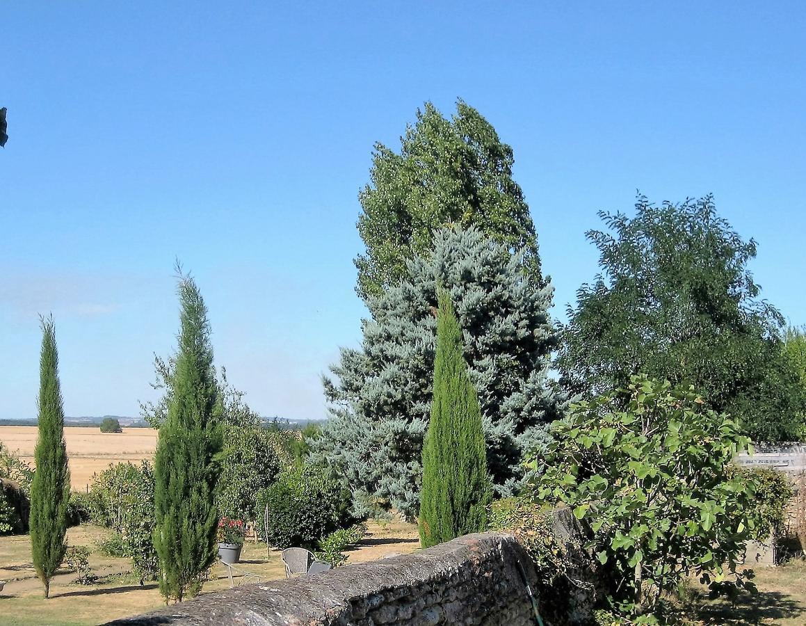 Chambre D'Hotes Oiron, Deux Sevres - Not Near Taize, Burgundy Bed & Breakfast Luaran gambar